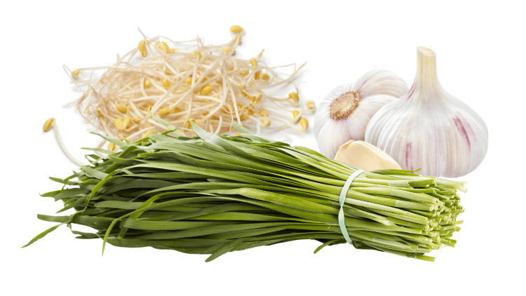 garlic, chives, beansprouts