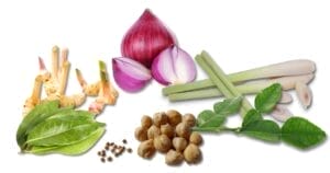 Javanese white curry paste ingredients Javanese white curry paste ingredients